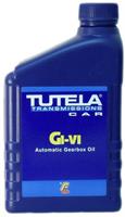CAR GI/VI